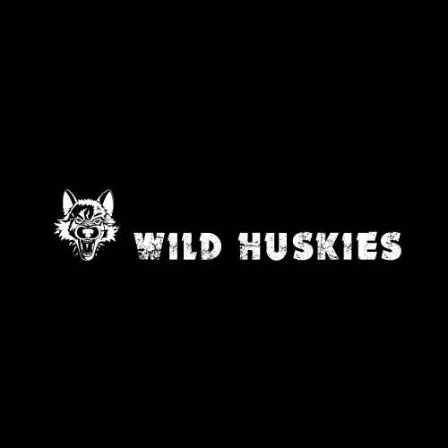 Wild Huskies